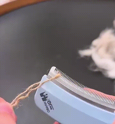 视频 (1).gif