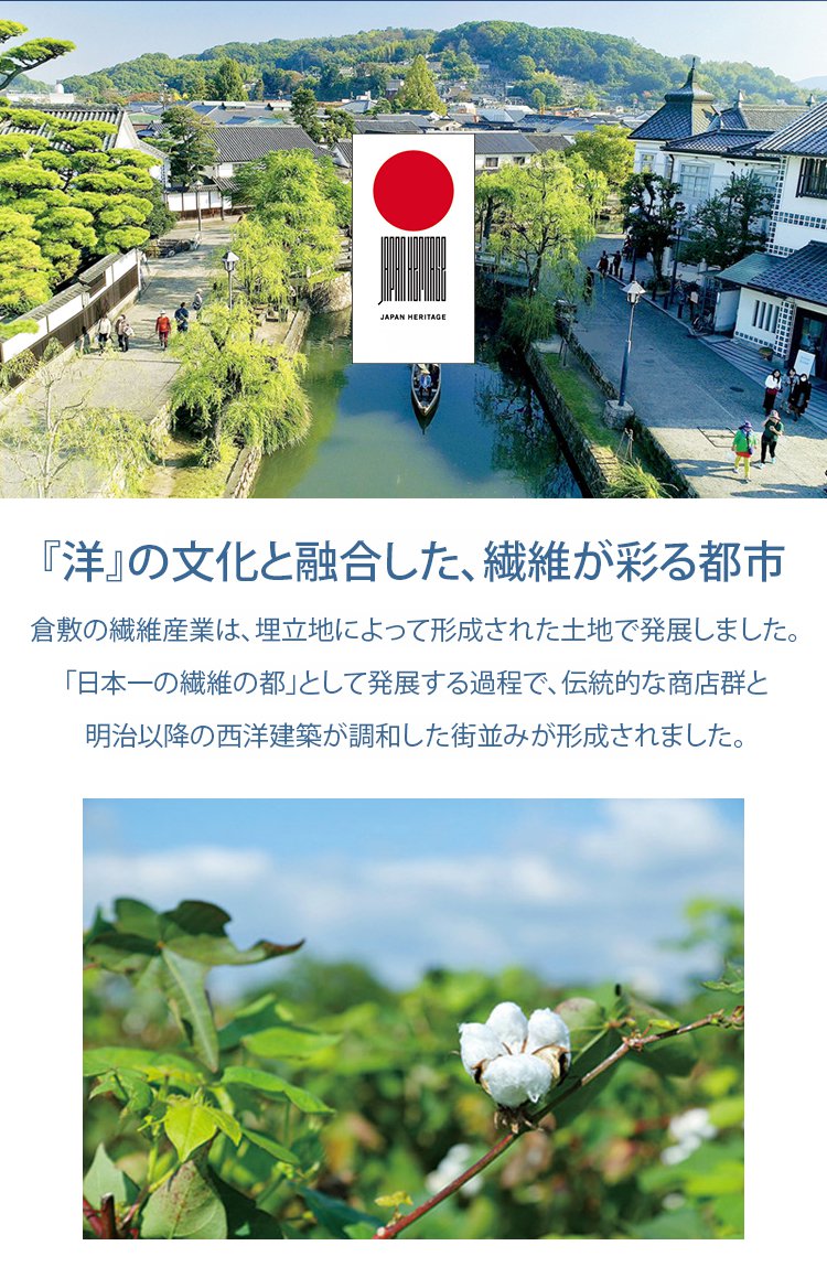 翻译件-SL-透气五分裤两件套-1186576_17.jpg