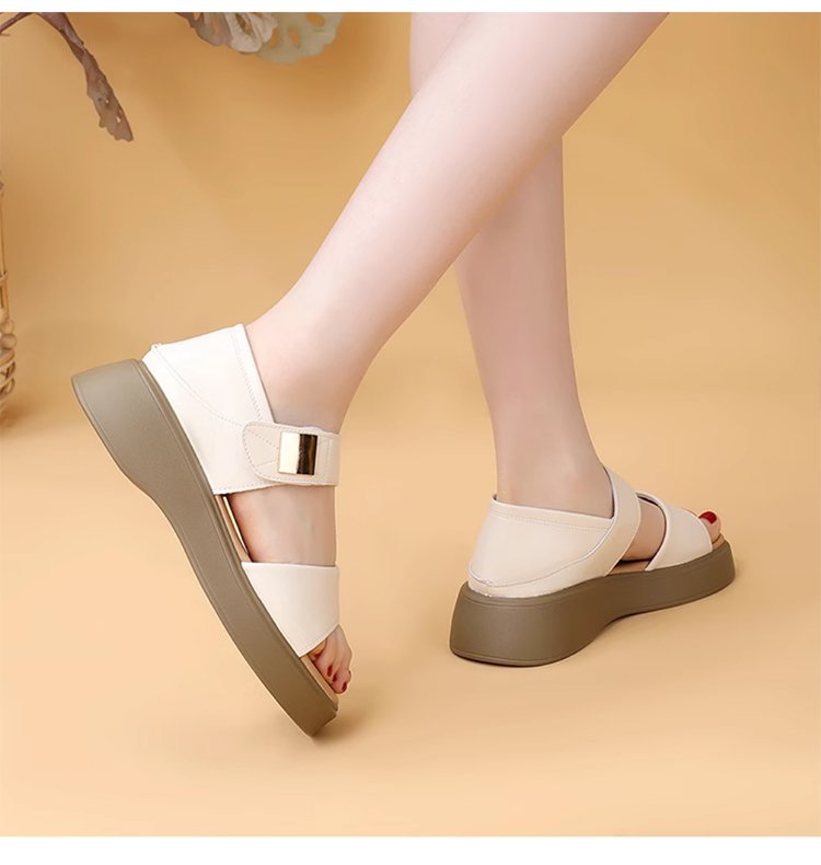 ab6af30c5929e5653bc81fd9ce771c65.jpg