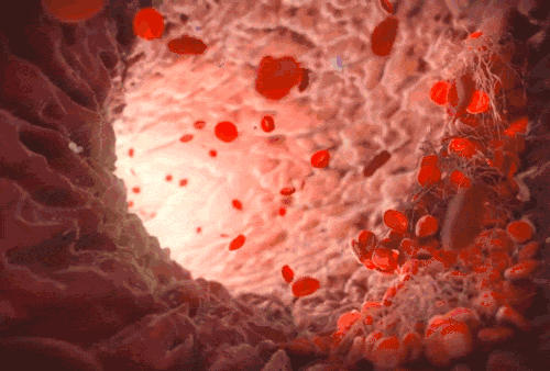 c933f81f5ccc8803943d73d4212304da.gif