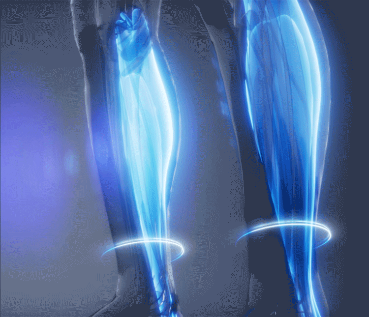 legfit_06.gif