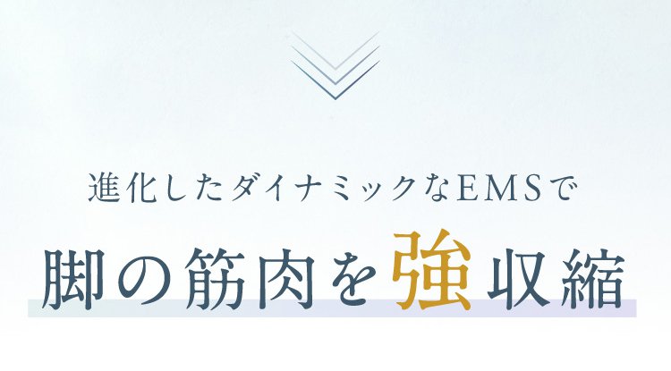 amq_34.jpg