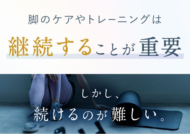 amq_19.jpg