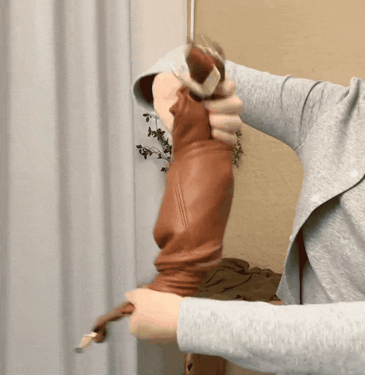 20240925_100309_205.gif