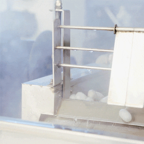 b95c114f9d767231acd1b9f456320f4a.gif