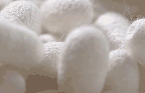 1598669846246320.gif