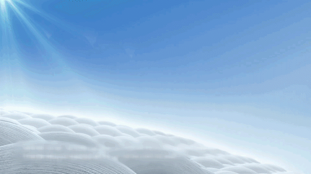 1184431奶皮超薄鲨鱼裤.gif