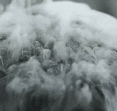 4.gif
