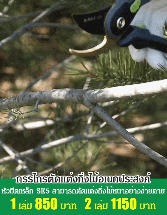 กรรไกรตัดแต่งกิ่งไม้อเนกประสงค์