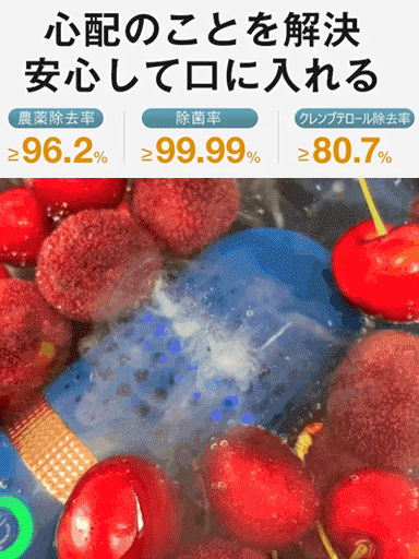 ワイヤレスハンディ型野菜洗浄機