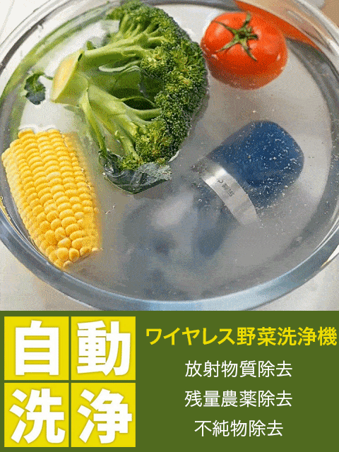 ワイヤレスハンディ型野菜洗浄機