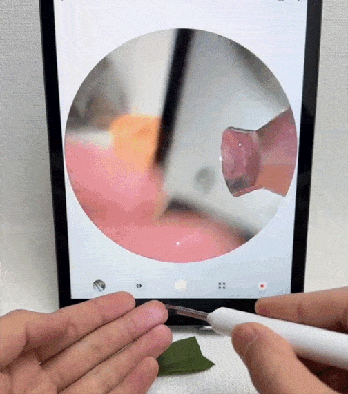 【超快適】カメラ付きスマート耳かき