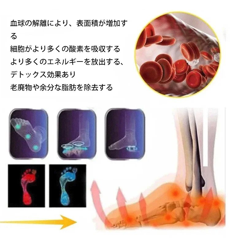 【香料、着色料、保存料は添加されていません】和歌山県特産の琥珀色の干し柿