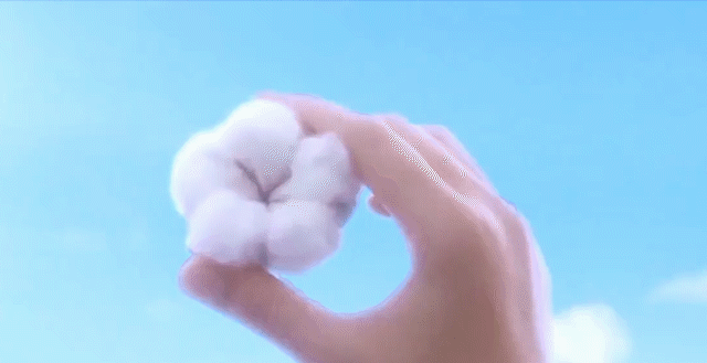 1615023506652034.gif 1597905463314898.gif