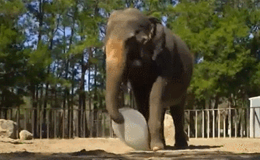 1628501948281125.gif 3.gif