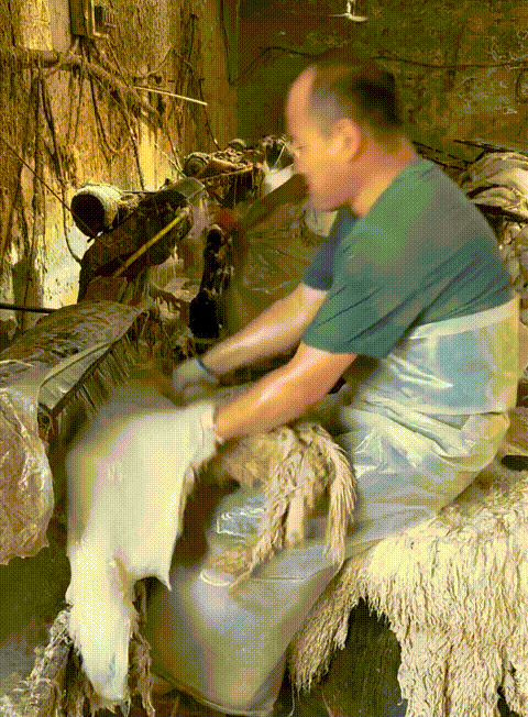 1_25.gif