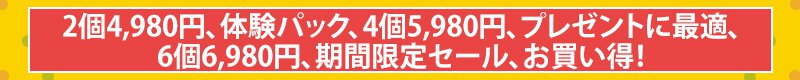 【香料、着色料、保存料は添加されていません】和歌山県特産の琥珀色の干し柿