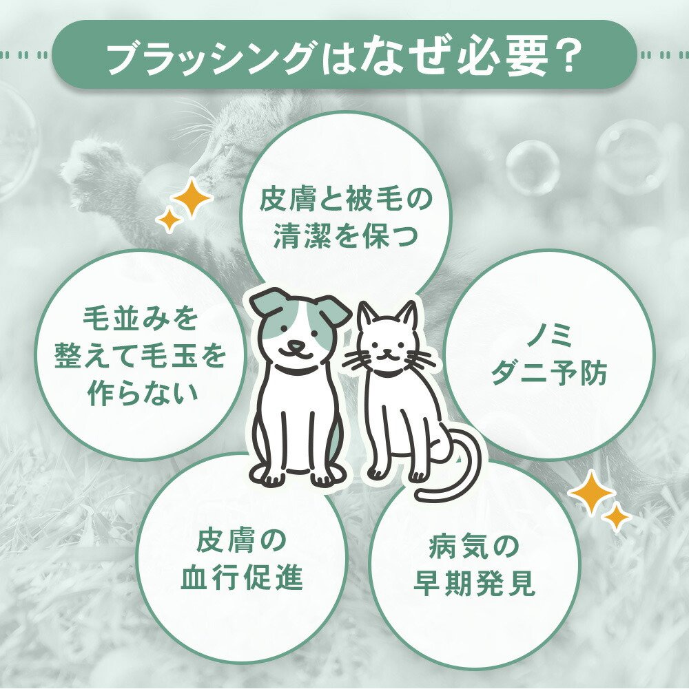 未标题-2.jpg