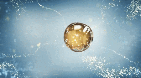 20231009_095107_062.gif