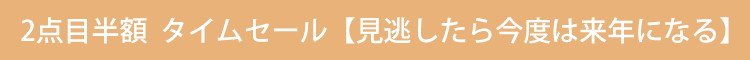 リチウム洗車水鉄砲