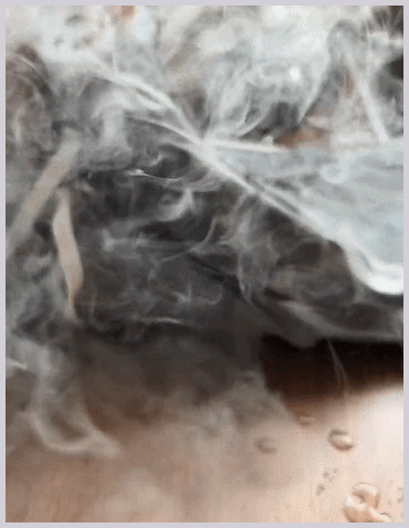 日语_09-1.gif