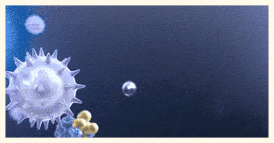 123_18.gif