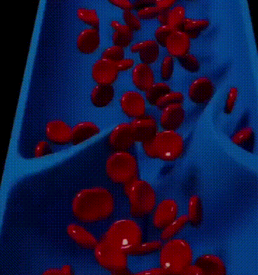 044.gif