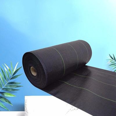 ผ้าใบกันวัชพืช