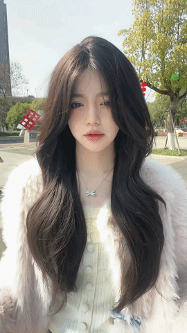 下载202412010324011.gif