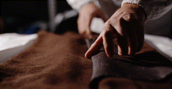 包包_15.gif