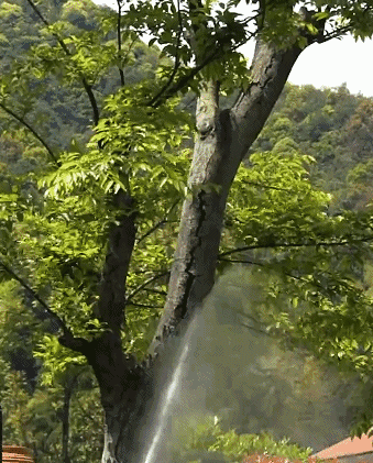 リチウム洗車水鉄砲