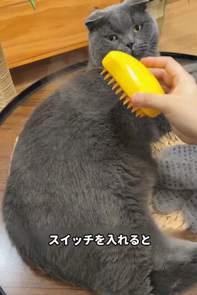 JP-1130397-HFH-猫狗宠物电动喷雾按摩梳-秦丹1_14.gif