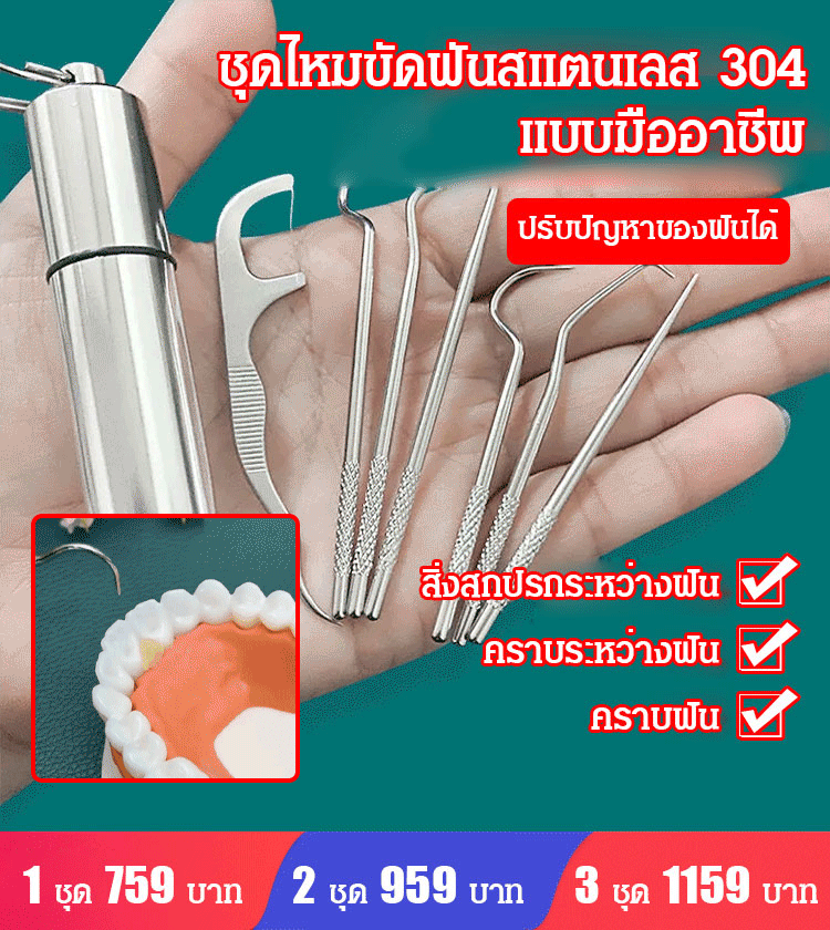 ชุดไหมขัดฟันสแตนเลส 304