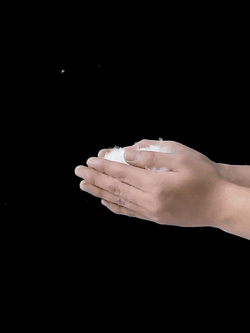 z6.gif