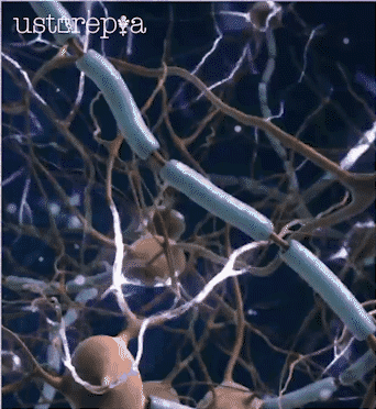 喷雾_16.gif